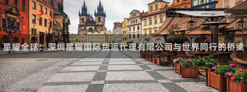 极悦娱乐平台：星耀全球：深圳星耀国际货运代理有限公司与世界同行的桥梁