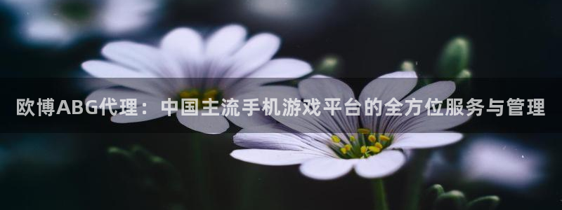 极悦娱乐体育注册登录入口：欧博ABG代理：中国主流手机游戏平台的全方位服务与管理