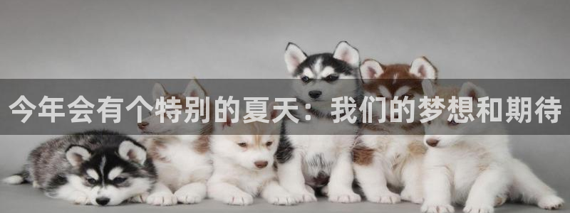 pg极悦娱乐平台下载入口：今年会有个特别的夏天：我们的梦想和期待