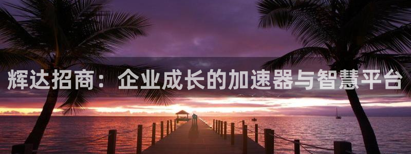 极悦娱乐网站平台登录：辉达招商：企业成长的加速器与智慧平台