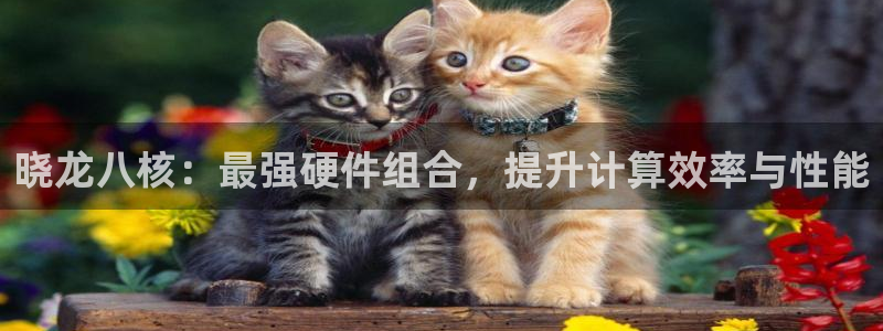 极悦娱乐官网