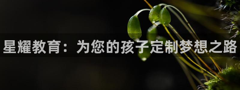 极悦娱乐app最新版：星耀教育：为您的孩子定制梦想之路