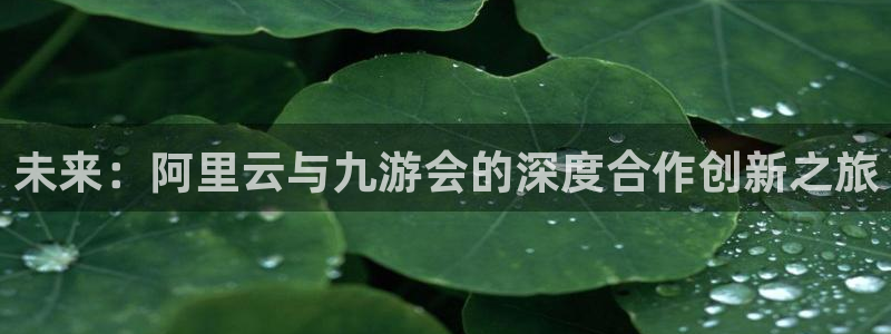 极悦娱乐体育1招商：未来：阿里云与九游会的深度合作创新之旅