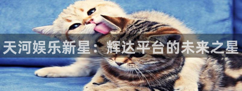 极悦娱乐平台开户链接