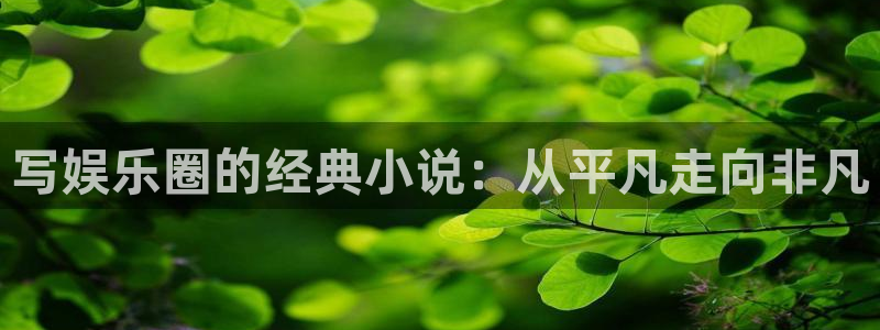 极悦娱乐官网入口