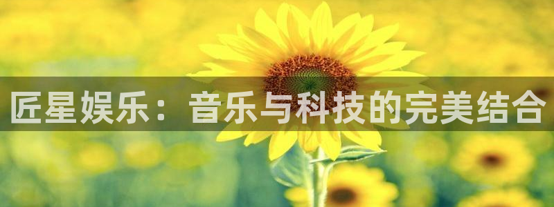 极悦娱乐游戏官网平台
