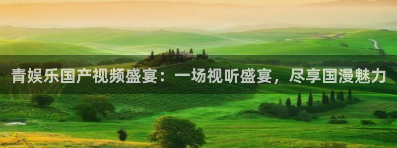 极悦娱乐网页版：青娱乐国产视频盛宴：一场视听盛宴，尽享国漫魅力