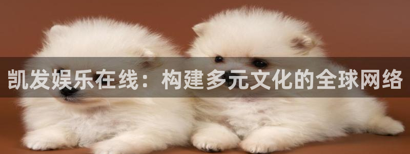 极悦娱乐体育娱乐注册链接：凯发娱乐在线：构建多元文化的全球网络