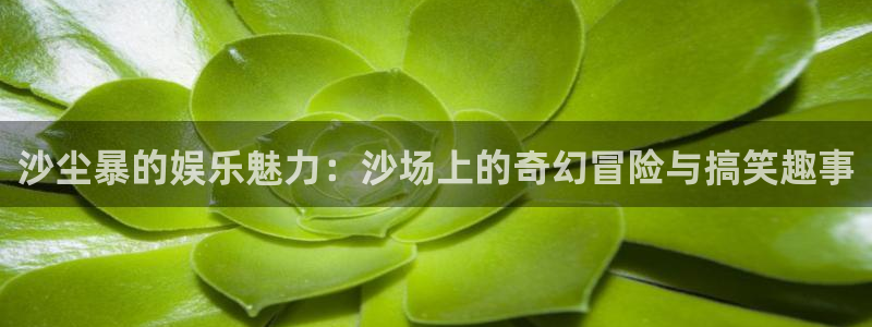 极悦娱乐加拿大app预测：沙尘暴的娱乐魅力：沙场上的奇幻冒险与搞笑趣事