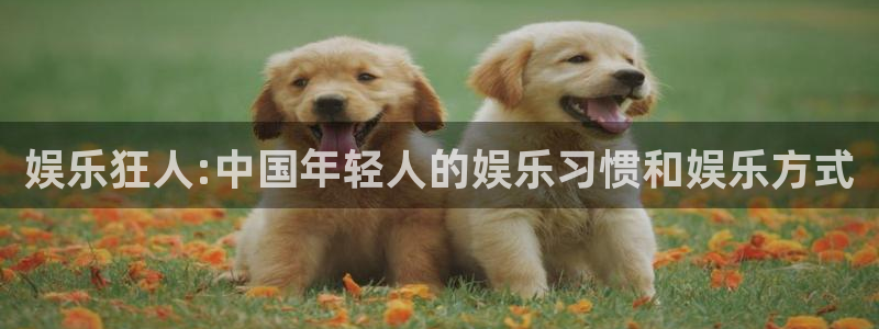 极悦娱乐5：娱乐狂人:中国年轻人的娱乐习惯和娱乐方式