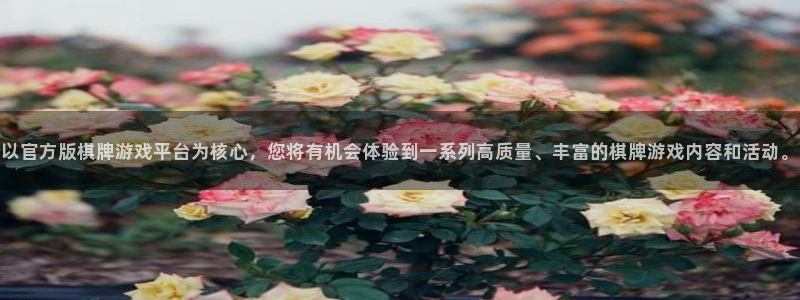 极悦娱乐平台在线开户：以官方版棋牌游戏平台为核心，您将有机会体验到一系列高质量、