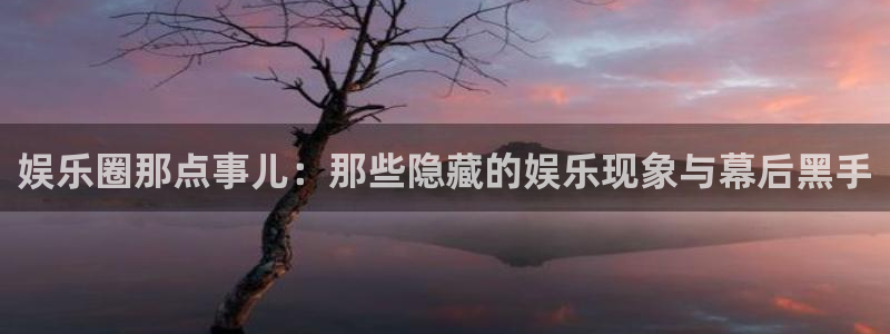极悦娱乐手机版下载：娱乐圈那点事儿：那些隐藏的娱乐现象与幕后黑手
