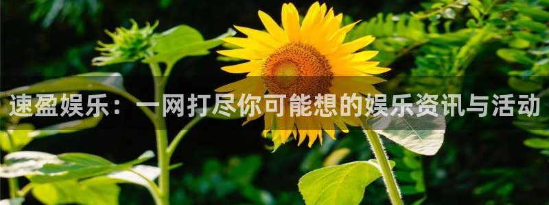 极悦娱乐官网注册：速盈娱乐：一网打尽你可能想的娱乐资讯与活动