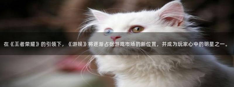 极悦娱乐电子娱乐官网下载