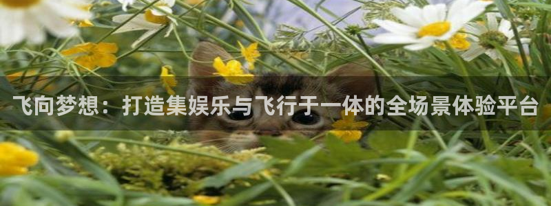 极悦娱乐平台官网入口下载：飞向梦想：打造集娱乐与飞行于一体的全场景体验平台