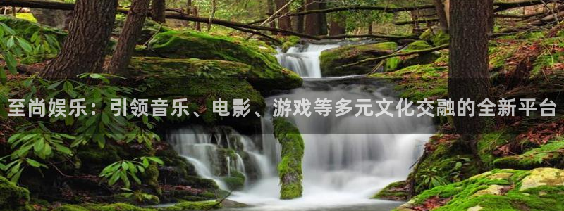 极悦娱乐现在优惠多少：至尚娱乐：引领音乐、电影、游戏等多元文化交融的全新平台