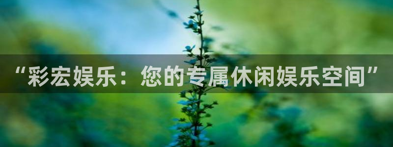 极悦娱乐平台