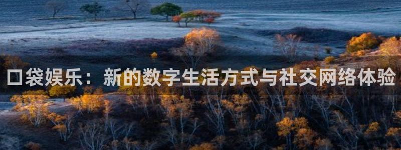 南宫极悦娱乐官网下载链接：口袋娱乐：新的数字生活方式与社交网络体验