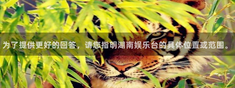 极悦娱乐集团