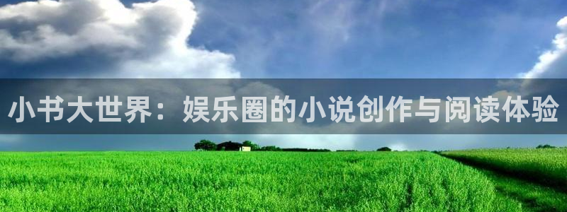 上海极悦娱乐汽车电子有限公司