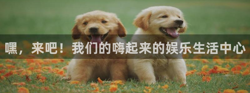 极悦娱乐官方网站