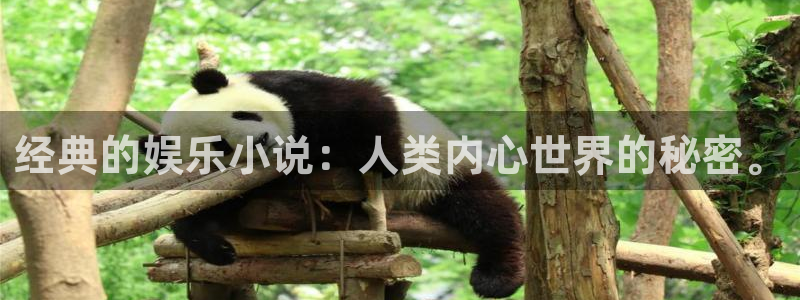 极悦娱乐app：经典的娱乐小说：人类内心世界的秘密。