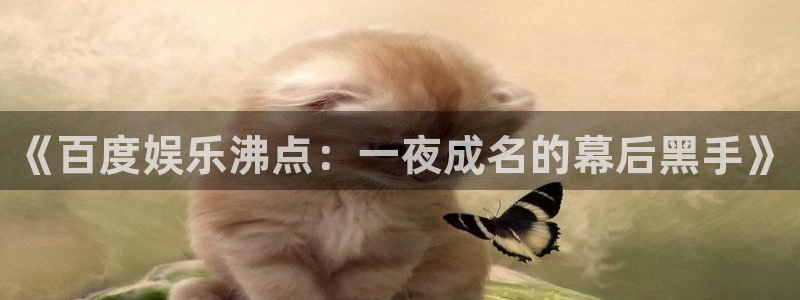 极悦娱乐app注册地址：《百度娱乐沸点：一夜成名的幕后黑手》