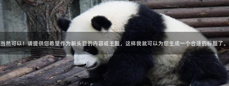 极悦娱乐是大平台吗：当然可以！请提供您希望作为新头目的内容或主题，这样我就可以为