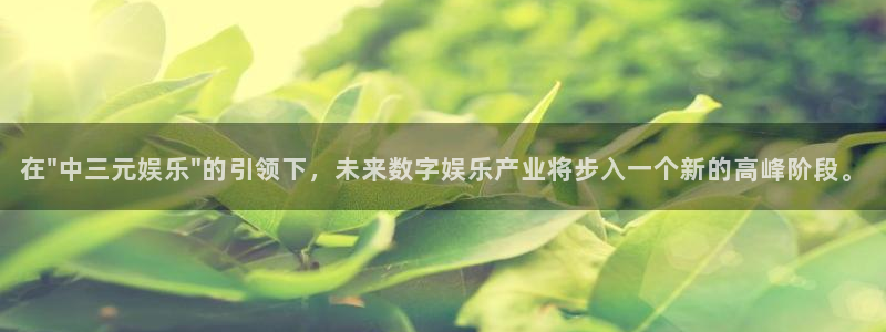 极悦娱乐3平台登录注册：在\