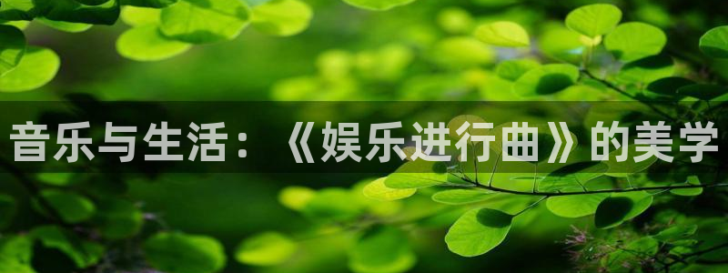 极悦娱乐是大平台吗：音乐与生活：《娱乐进行曲》的美学