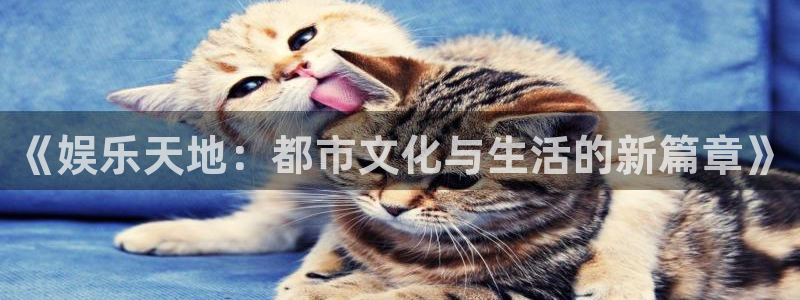 极悦娱乐平台：《娱乐天地：都市文化与生活的新篇章》