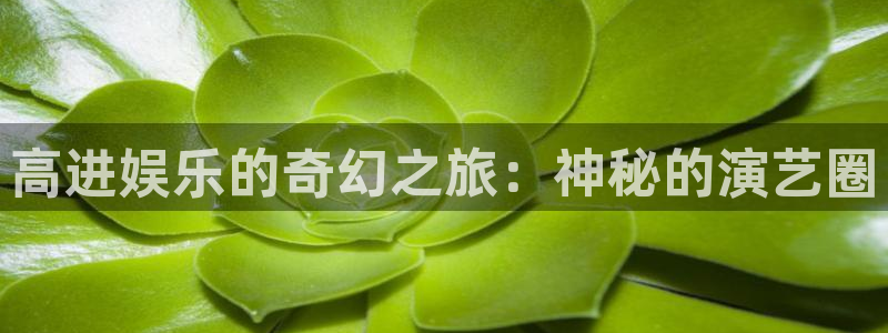 极悦娱乐.ccm官网版：高进娱乐的奇幻之旅：神秘的演艺圈