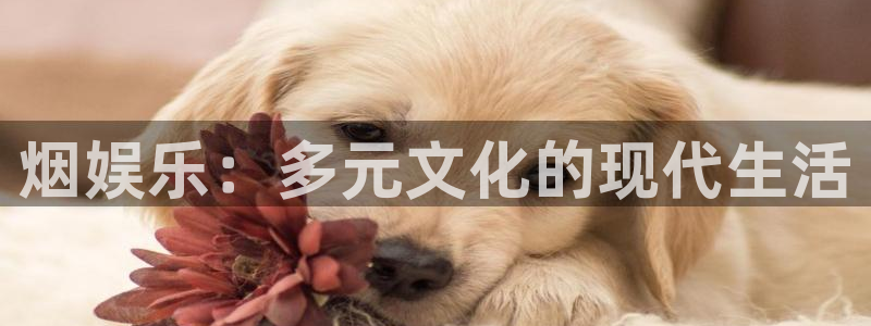 极悦娱乐放水时间：烟娱乐：多元文化的现代生活