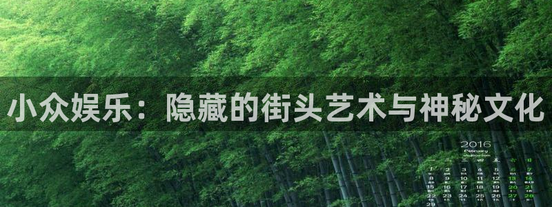 极悦娱乐平台主管：小众娱乐：隐藏的街头艺术与神秘文化
