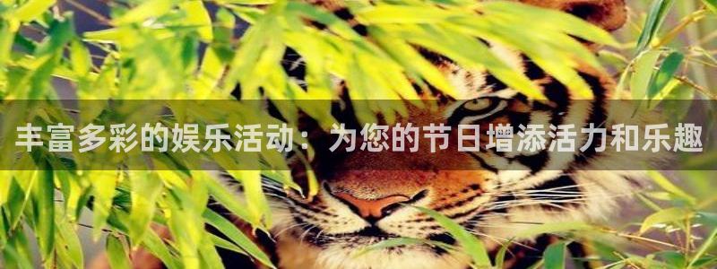 极悦娱乐游戏有哪些好玩的：丰富多彩的娱乐活动：为您的节日增添活力和乐趣